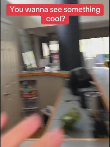 Mini Snack Bag Sealer With Chip Knife, Plastic Bag Sealer for Food Storage