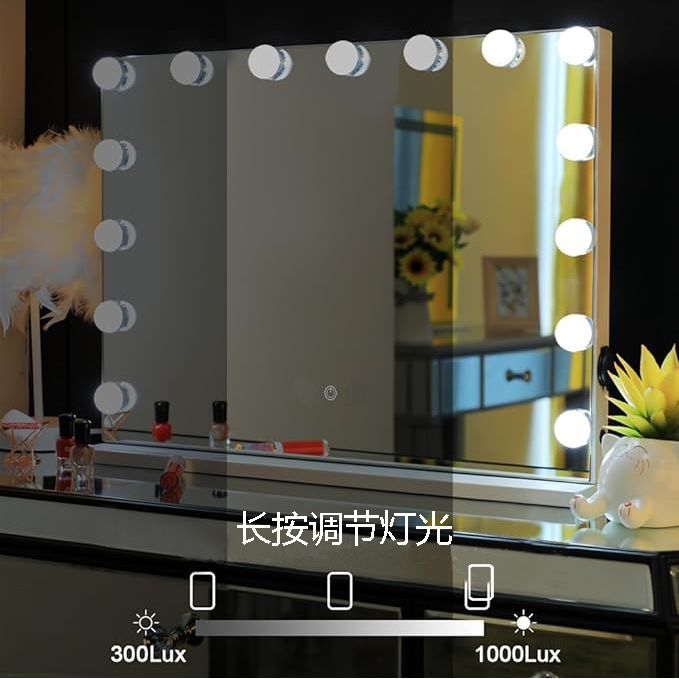 Hollywood LED Light Makeup Mirror